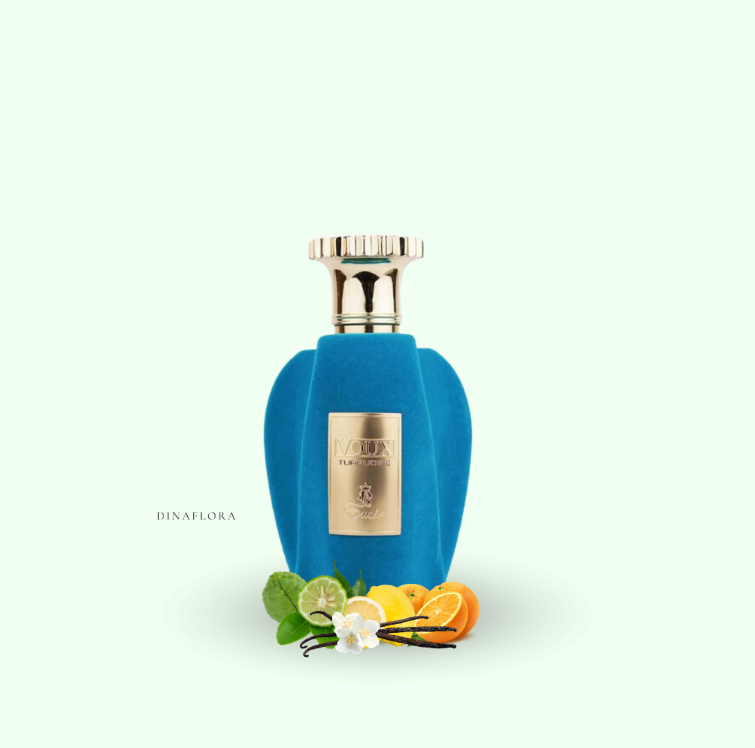 15% de réduction immédiate sur Le VOUX TURQUOISE (Offre limitée)