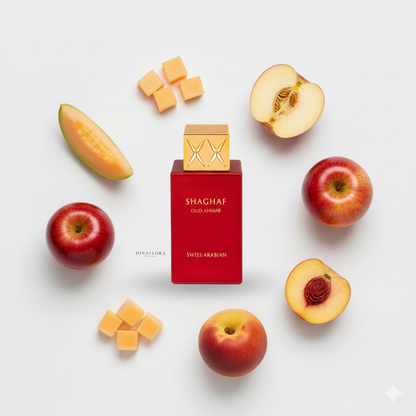 Shaghaf Oud Ahmar – Swiss Arabian