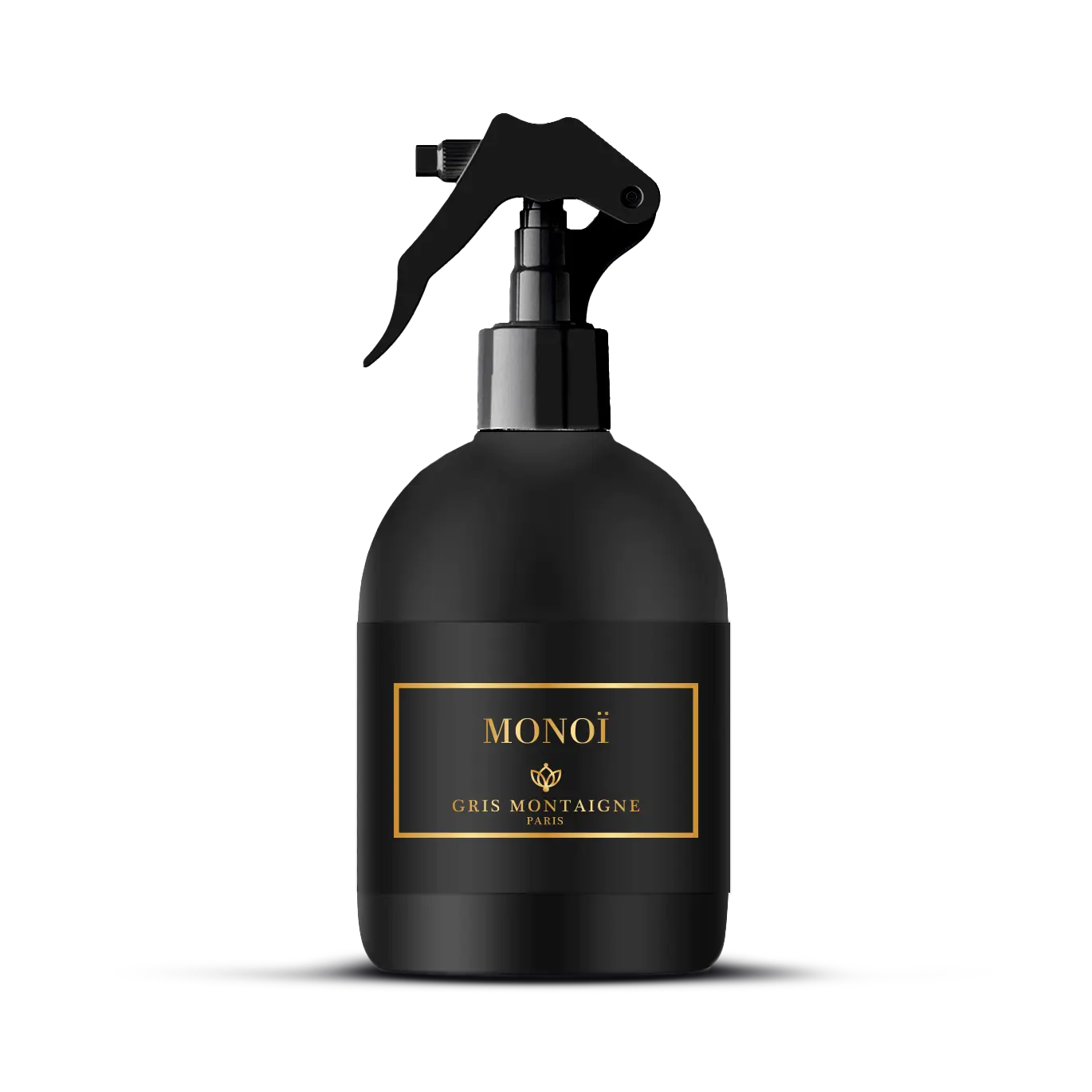 mono spray maison