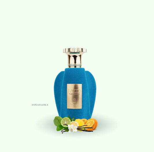 voux turquoise emir paris corner